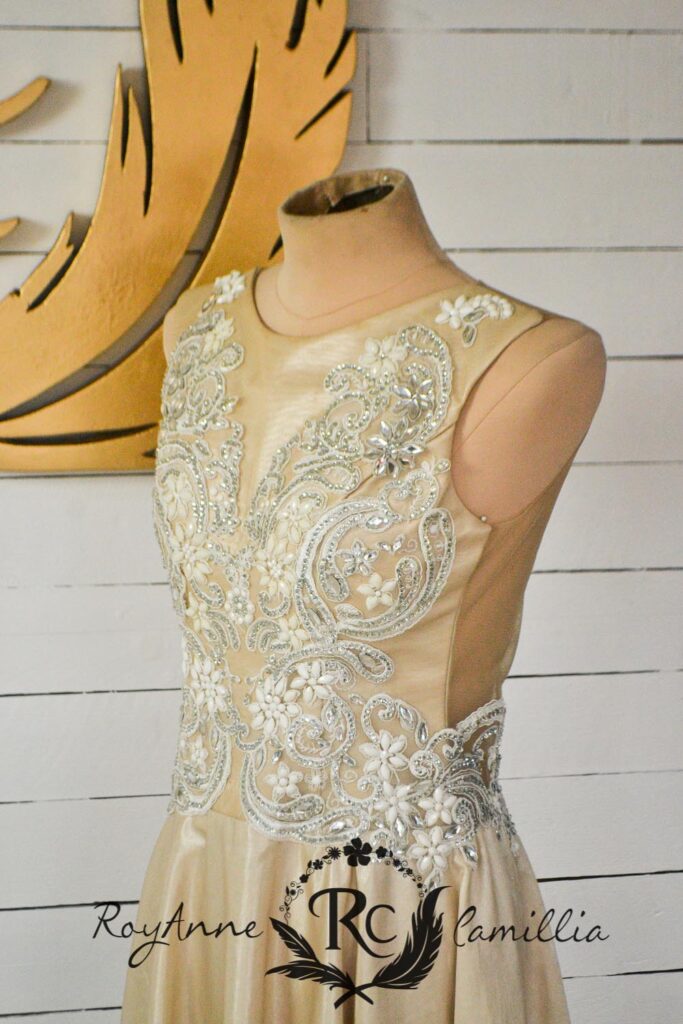 tina fancy gown