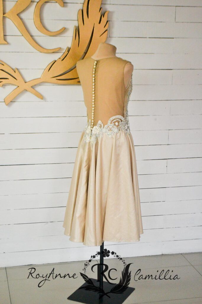 tina fancy gown